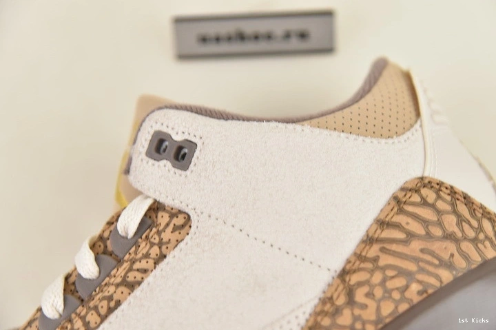 3 Jordan CT8532-102 Palomino Air 0413